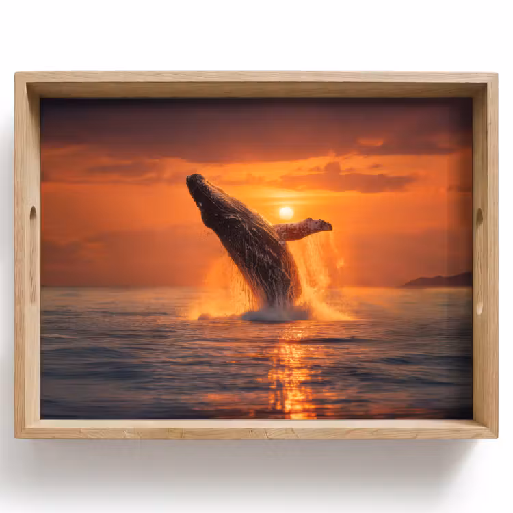 Walvis - Zon - Zee Dienblad Rechthoek middel -z3d_shopping