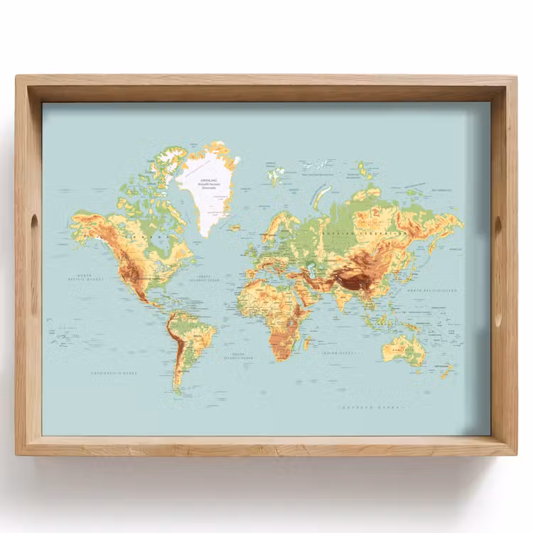 Wereldkaart - Realistisch - Blauw Dienblad Rechthoek middel -z3d_shopping