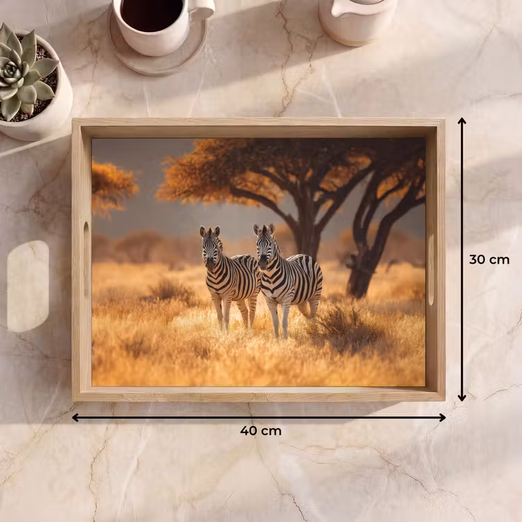 Zebra's - Savannelandschap - Gras Dienblad Rechthoek middel -USP_Formaat