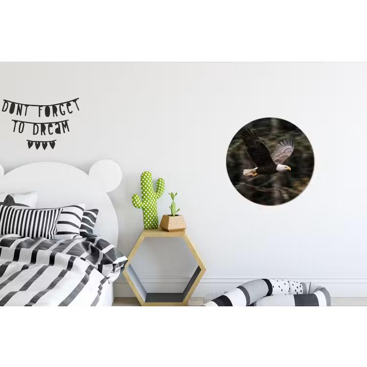Zeearend - Vliegen - Bos - Natuur Wandcirkel aluminium klein -kinderkamer