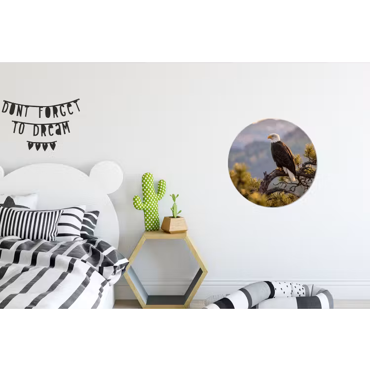 Zeearend - Boom - Bergen - Groen Wandcirkel aluminium klein -kinderkamer