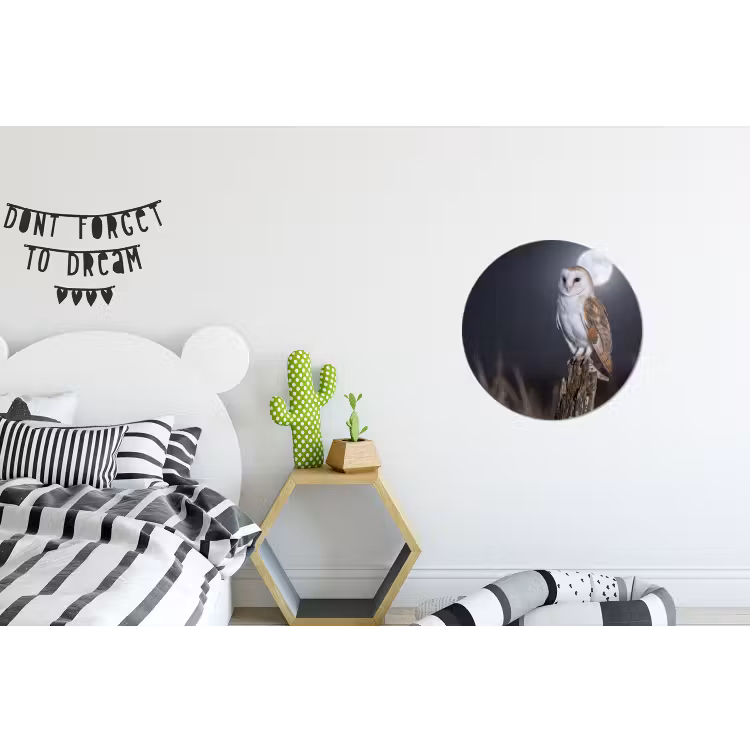 Kerkuil - Maan - Nacht Wandcirkel aluminium klein -kinderkamer