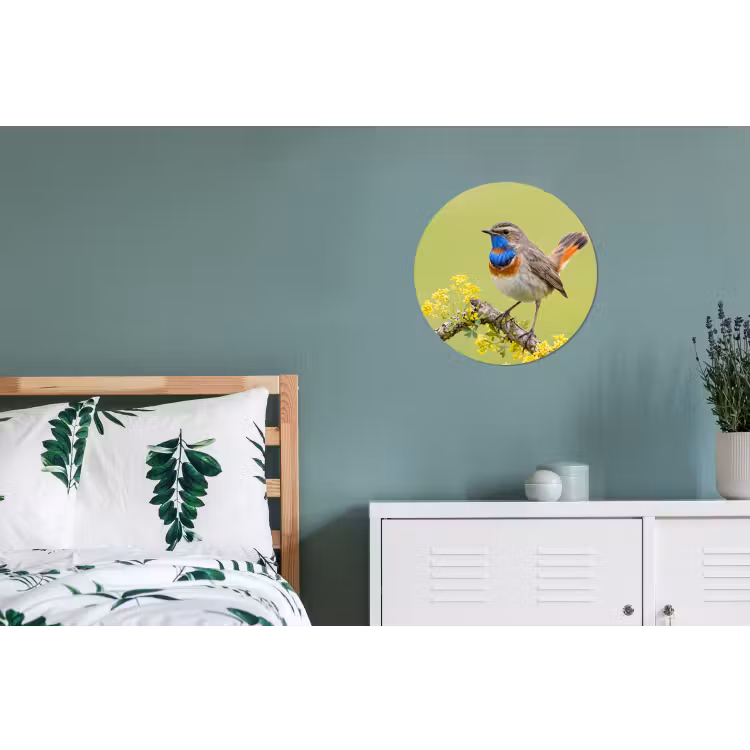 Vogel - Tak - Natuur - Kleurrijk Wandcirkel aluminium klein -slaapkamer
