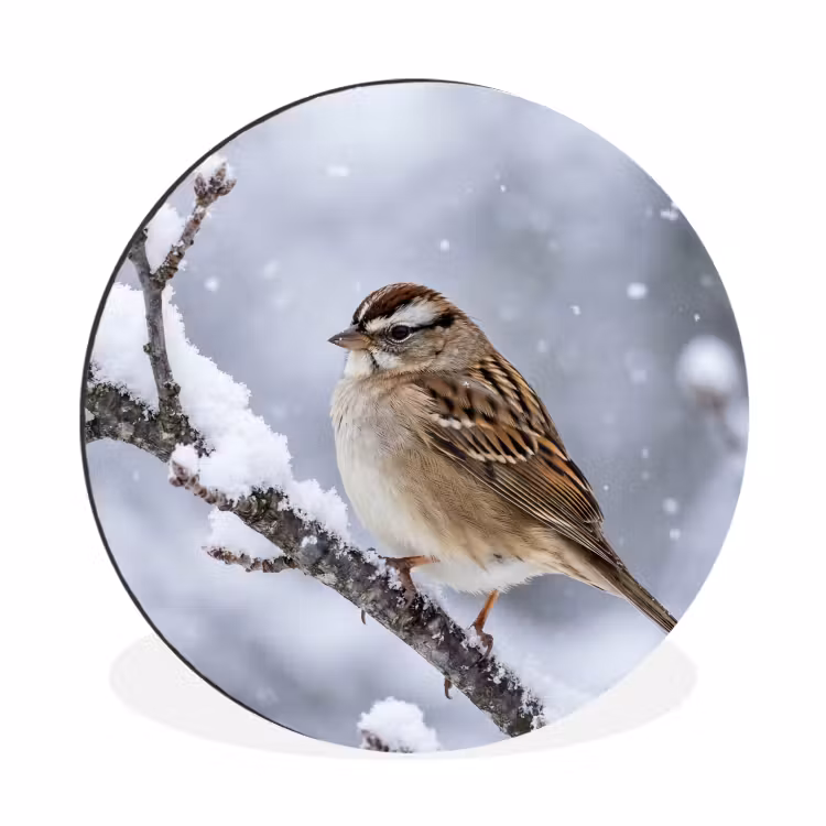 Vogel - Tak - Sneeuw - Winter Wandcirkel aluminium klein -3d