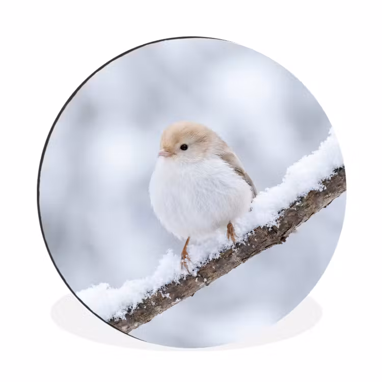 Vogeltje - Sneeuw - Tak - Winter - Zacht Wandcirkel aluminium klein -3d