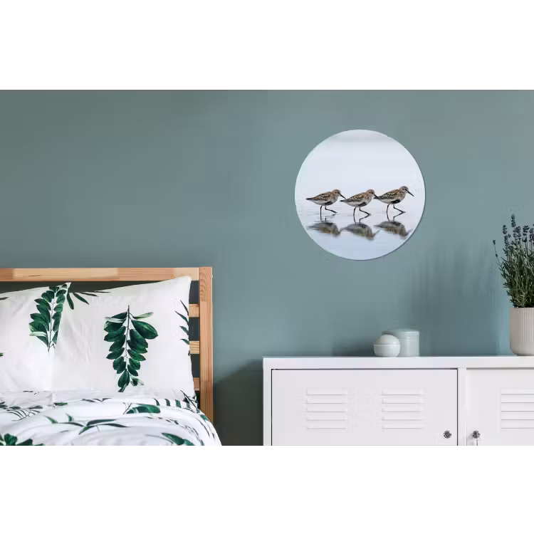 Vogels - Water - Grijs Wandcirkel aluminium klein -slaapkamer
