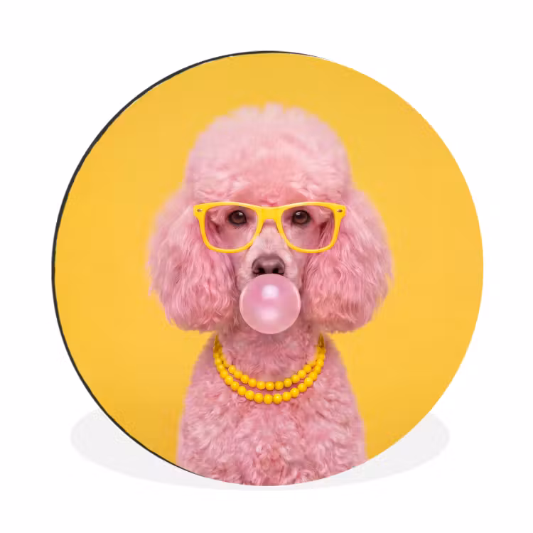 Hond - Kauwgum - Dieren - Modern - Roze Wandcirkel aluminium klein -3d