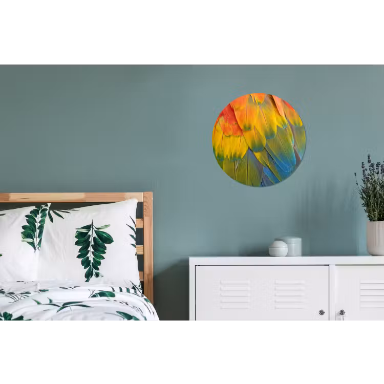 Veren - Ara - Kleurrijk Wandcirkel aluminium klein -slaapkamer