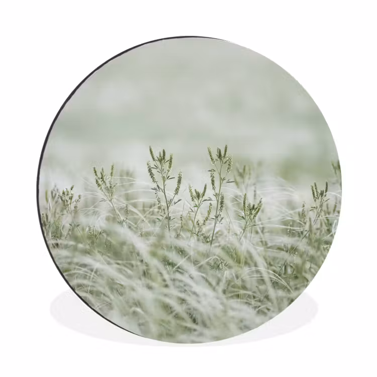 Grassen - Minimalistisch - Groen Wandcirkel aluminium klein -3d