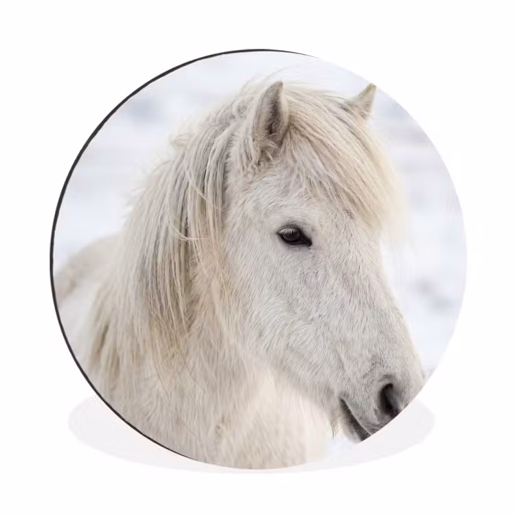 Paard - Kop - Winter - Dieren - Wit Wandcirkel aluminium klein -3d