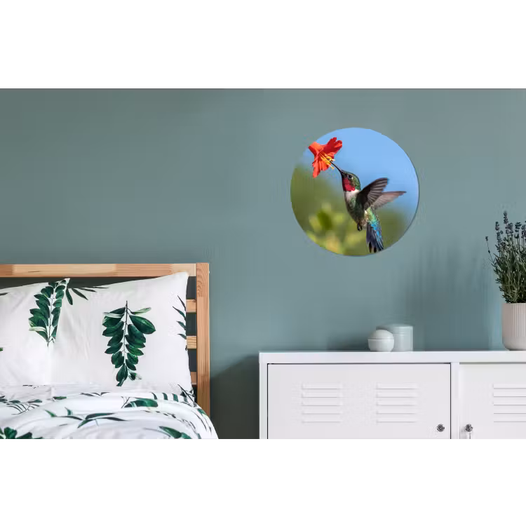 Kolibrie - Bloem - Natuur - Groen Wandcirkel aluminium klein -slaapkamer