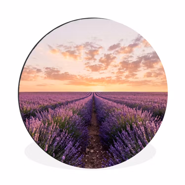 Landschap - Lavendelveld - Paars Wandcirkel aluminium klein -3d