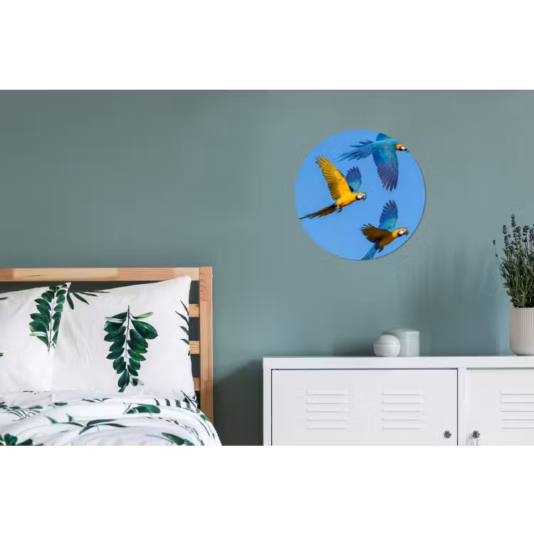 Papagaai - Vliegen - Blauw - Geel Wandcirkel aluminium klein -slaapkamer