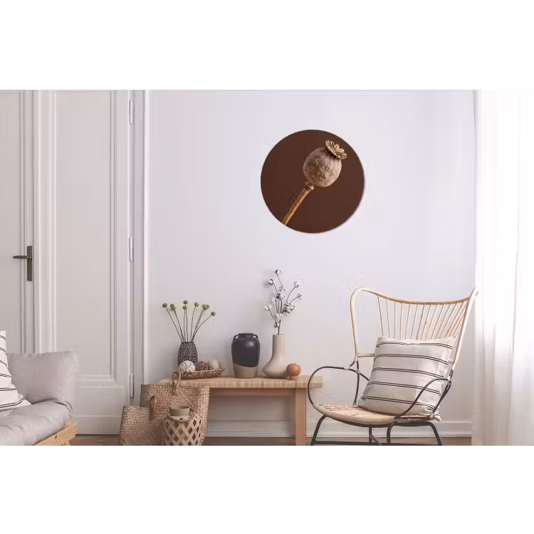 Papaverbol - Droogbloem - Bruin - Minimalistisch Wandcirkel aluminium klein -woonkamer
