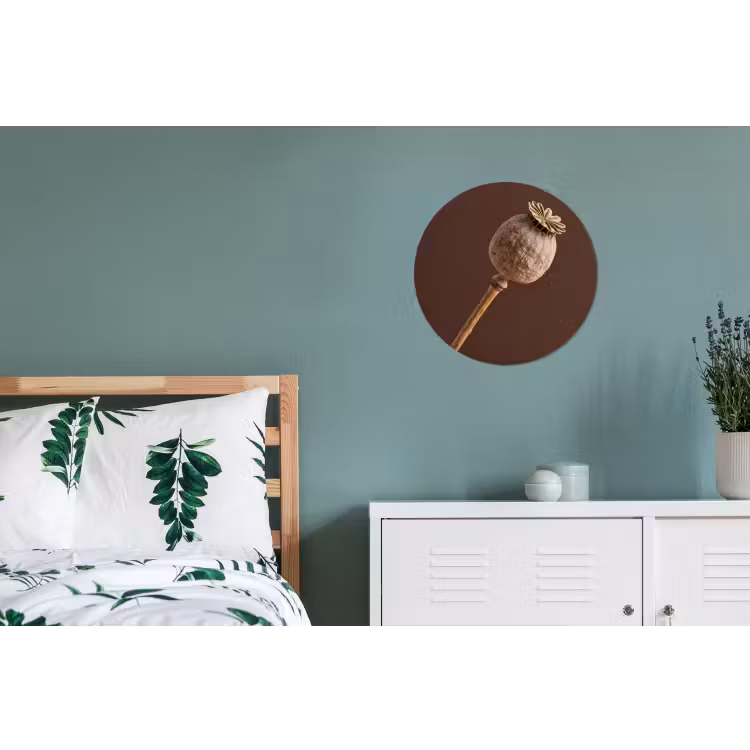 Papaverbol - Droogbloem - Bruin - Minimalistisch Wandcirkel aluminium klein -slaapkamer