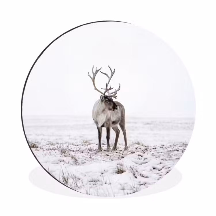 Rendier - Gewei - Sneeuw - Winter Wandcirkel aluminium klein -3d