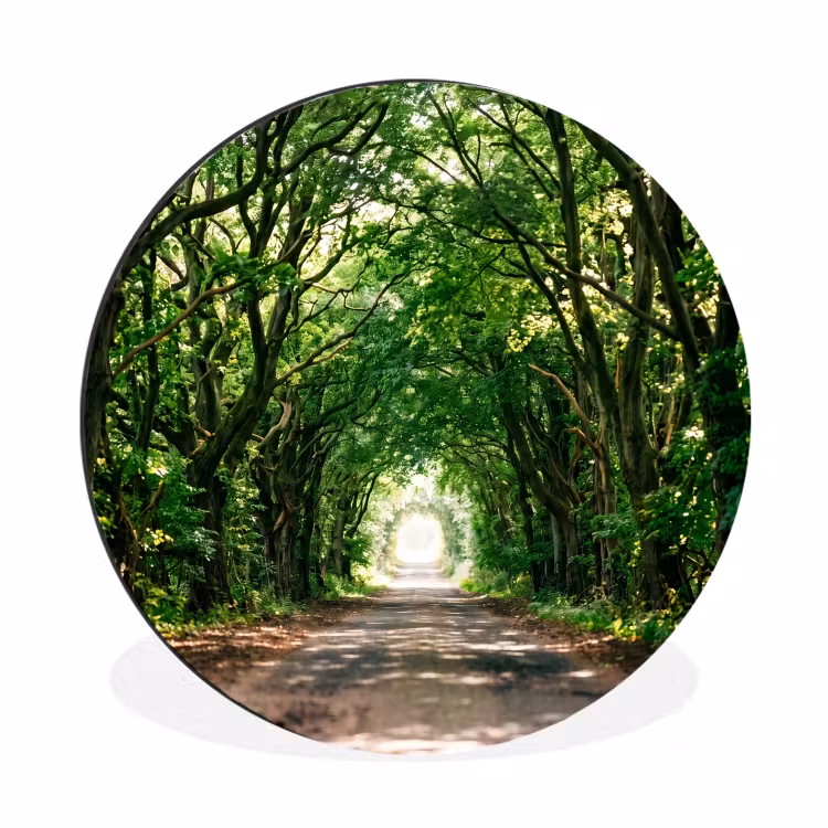 Weg - Bomen - Natuur - Groen Wandcirkel aluminium klein -3d