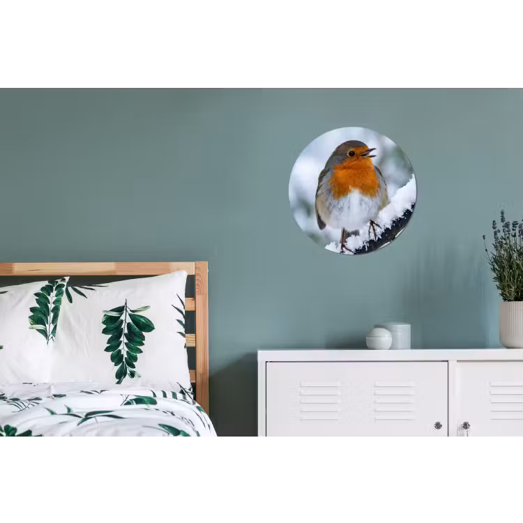 Roodborstje - Tak - Sneeuw - Winter - Levendig Wandcirkel aluminium klein -slaapkamer