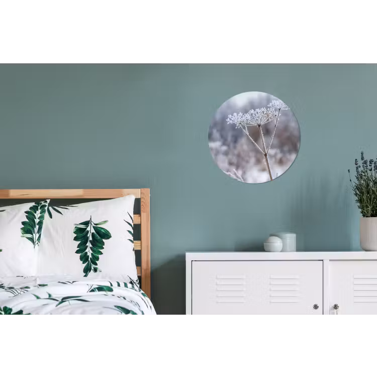 Schermbloem - Rijp - Kristallen - Winter - Delicaat Wandcirkel aluminium klein -slaapkamer