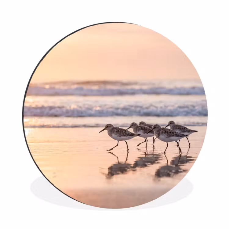 Zee - Vogels - Strand Wandcirkel aluminium klein -3d