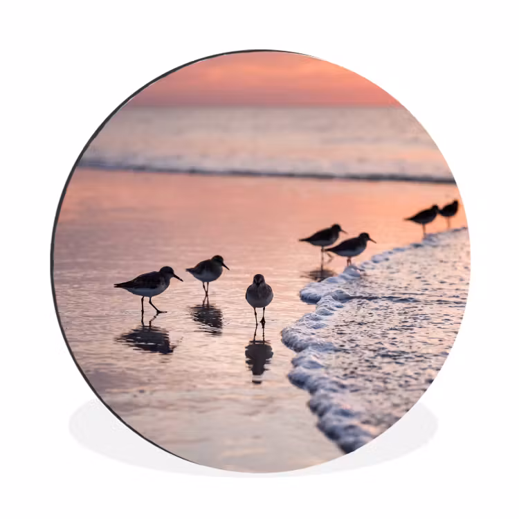 Meeuwen - Strand - Zee - Roze Wandcirkel aluminium klein -3d
