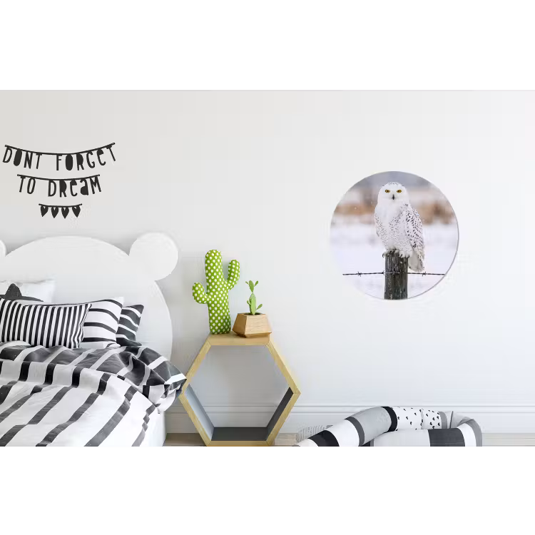 Sneeuwuil - Hek - Sneeuw - Wit Wandcirkel aluminium klein -kinderkamer