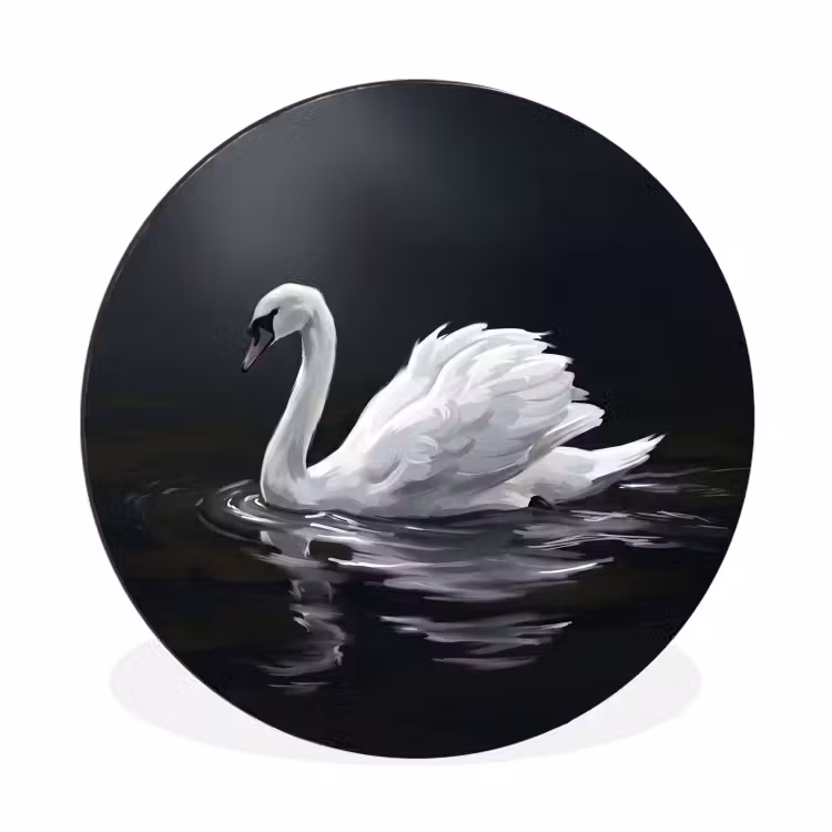 Zwaan - Water - Natuur - Realistisch - Wit Wandcirkel aluminium klein -3d