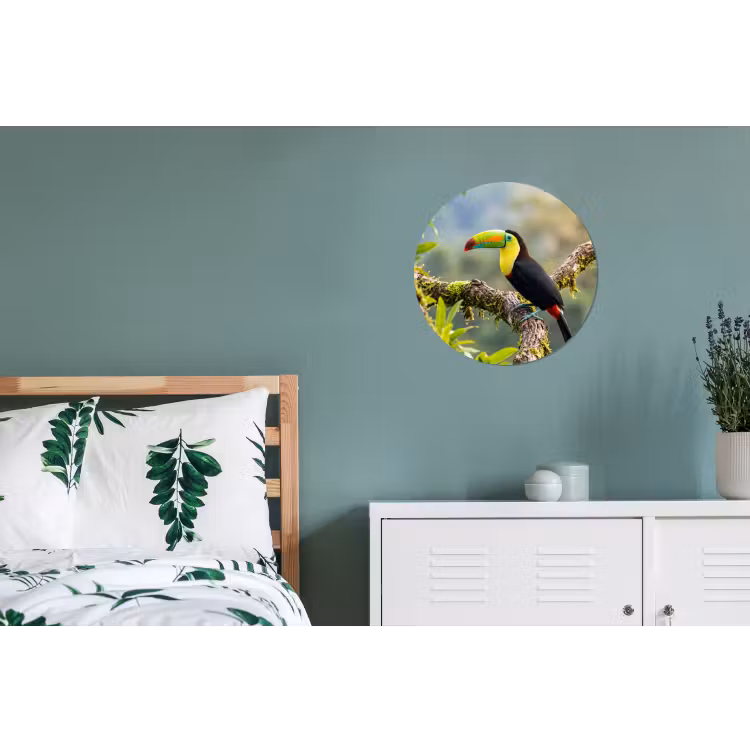 Toekan - Jungle - Natuur - Kleurrijk Wandcirkel aluminium klein -slaapkamer