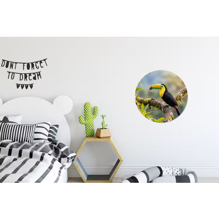 Toekan - Jungle - Natuur - Kleurrijk Wandcirkel aluminium klein -kinderkamer