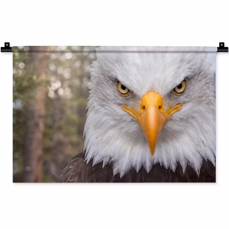 Amerikaans - Zeearend - Portret - Geel Wandkleed katoen klein -zz3d