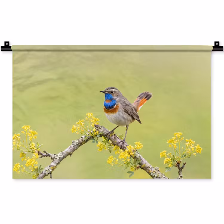 Vogel - Tak - Natuur - Kleurrijk Wandkleed katoen klein -zz3d