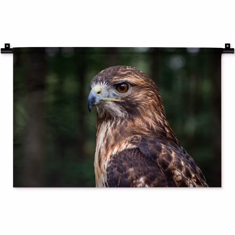 Buizerd - Roofvogel - Natuur - Bruin Wandkleed katoen klein -zz3d