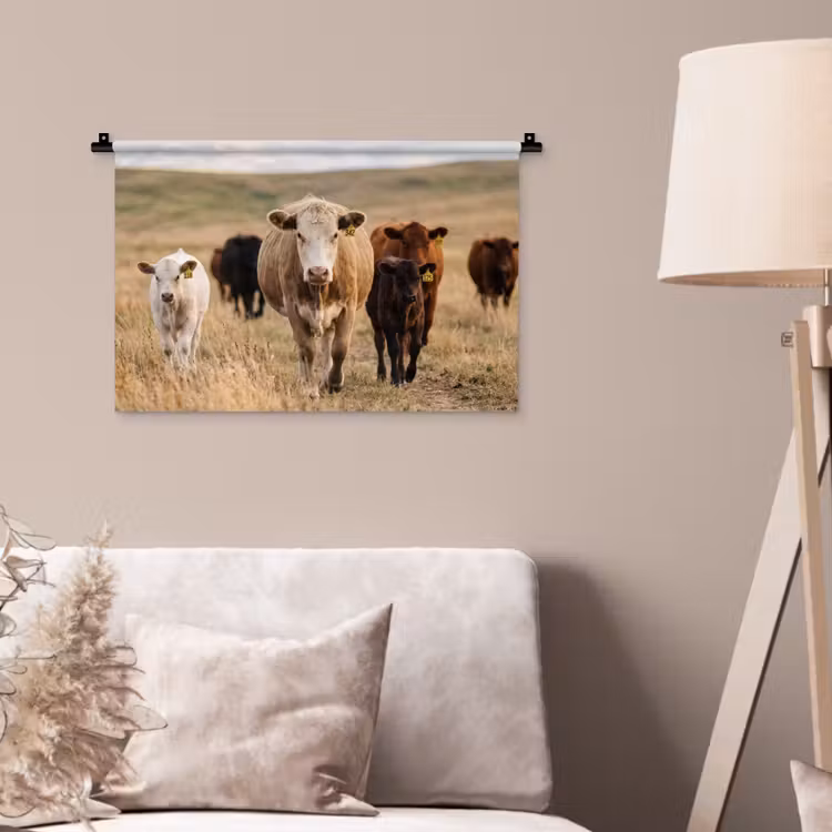 Runderen - Kudde - Landschap - Weide - Rustig Wandkleed katoen klein -sfeer4