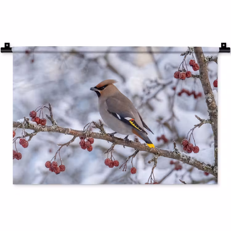 Pestvogel - Bessen - Winter - Natuur Wandkleed katoen klein -zz3d