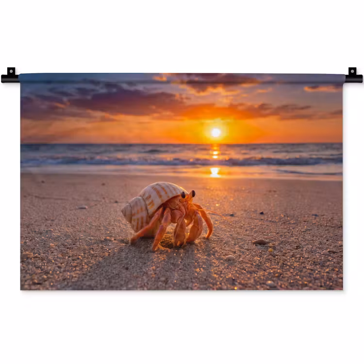 Kreeft - Strand - Natuur - Zonsondergang - Oranje Wandkleed katoen klein -zz3d