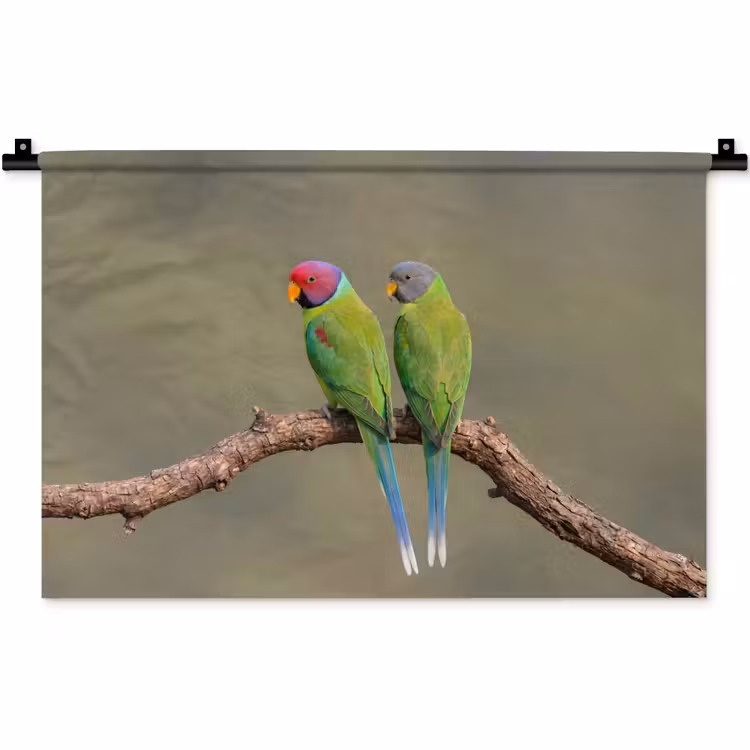 Papagaai - Tak - Natuur - Kleurrijk Wandkleed katoen klein -zz3d