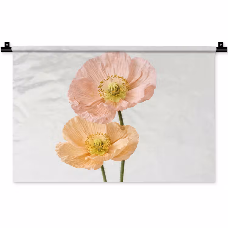 Papavers - Botanisch - Roze Wandkleed katoen klein -zz3d