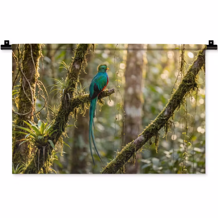 Quetzal - Jungle - Natuur - Groen Wandkleed katoen klein -zz3d