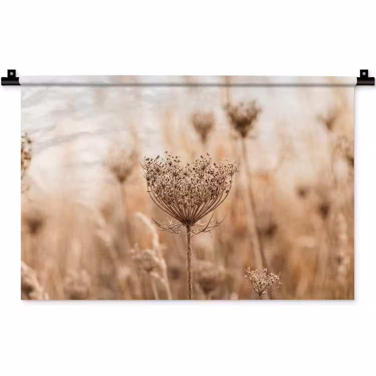 Schermbloem - Droogbloem - Winter - Beige - Minimalistisch Wandkleed katoen klein -zz3d