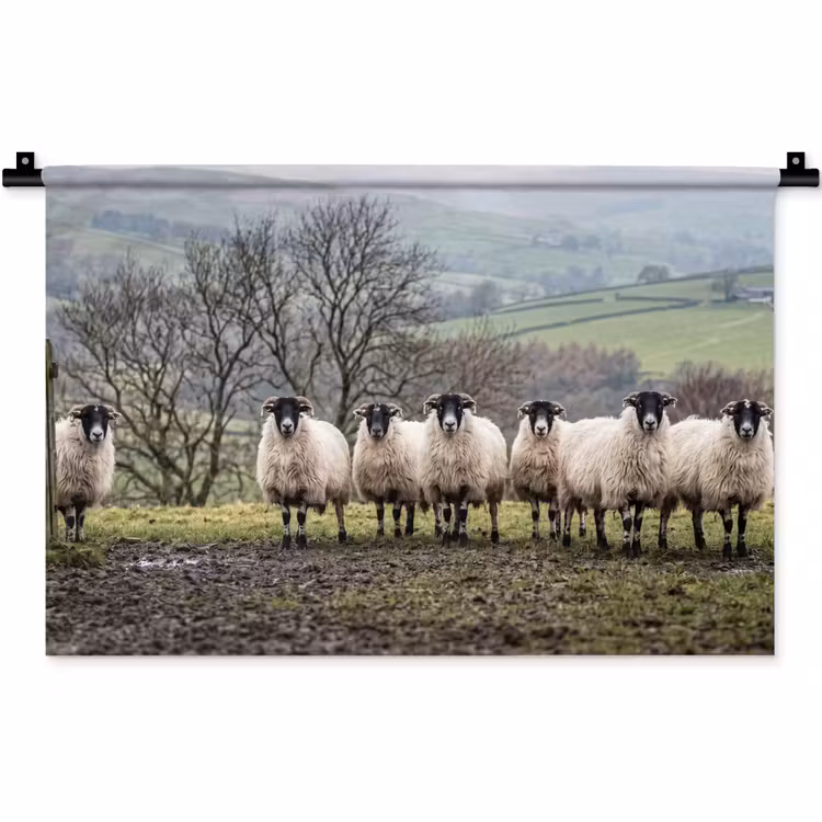 Schapen - Rij - Weide - Dieren - Platteland Wandkleed katoen klein -zz3d