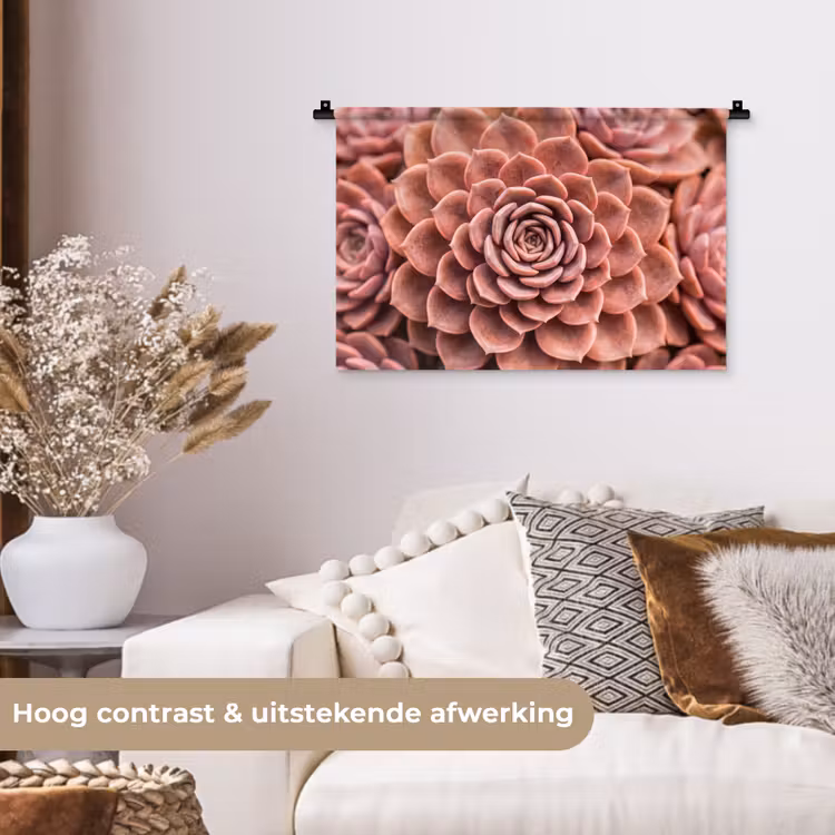 Vetplant - Organisch - Roze Wandkleed katoen klein -sfeer1