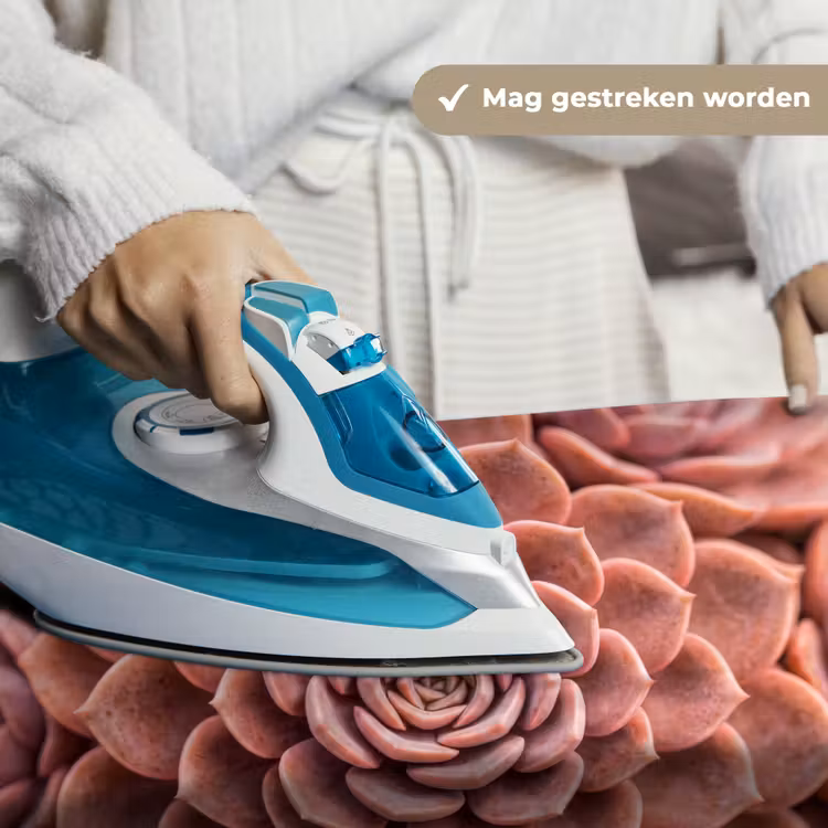 Vetplant - Organisch - Roze Wandkleed katoen klein -sfeer9