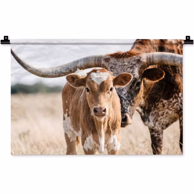 Texas Longhorn - Kalf - Weide - Dieren Wandkleed katoen klein -zz3d