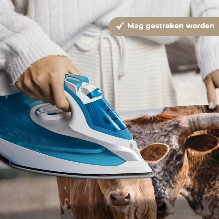 Texas Longhorn - Kalf - Weide - Dieren Wandkleed katoen klein -sfeer9