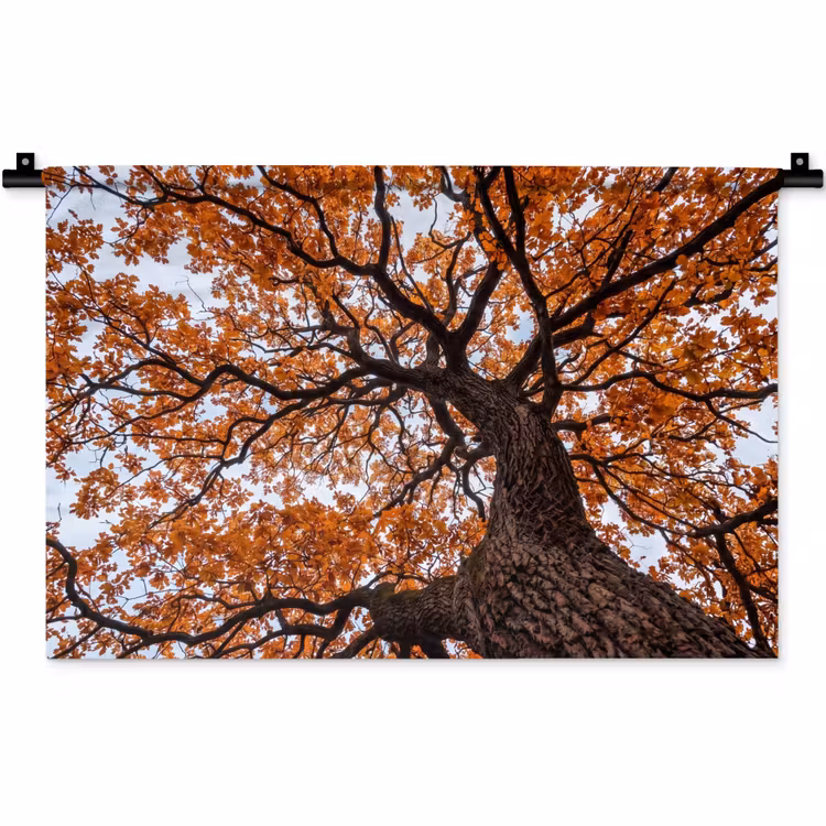 Boom - Bladerdak - Herfst - Oranje - Sfeervol Wandkleed katoen klein -zz3d