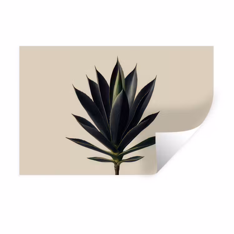 Agaveplant - Symmetrisch - Groen Muursticker klein -3d