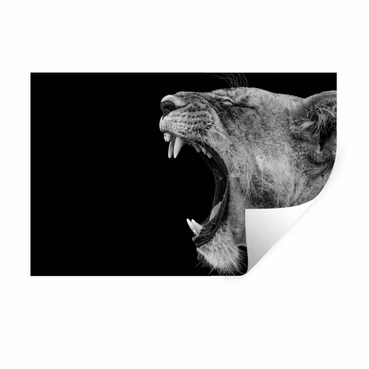 Dieren - Leeuw - Zwart - Wit - Portret Muursticker klein -3d