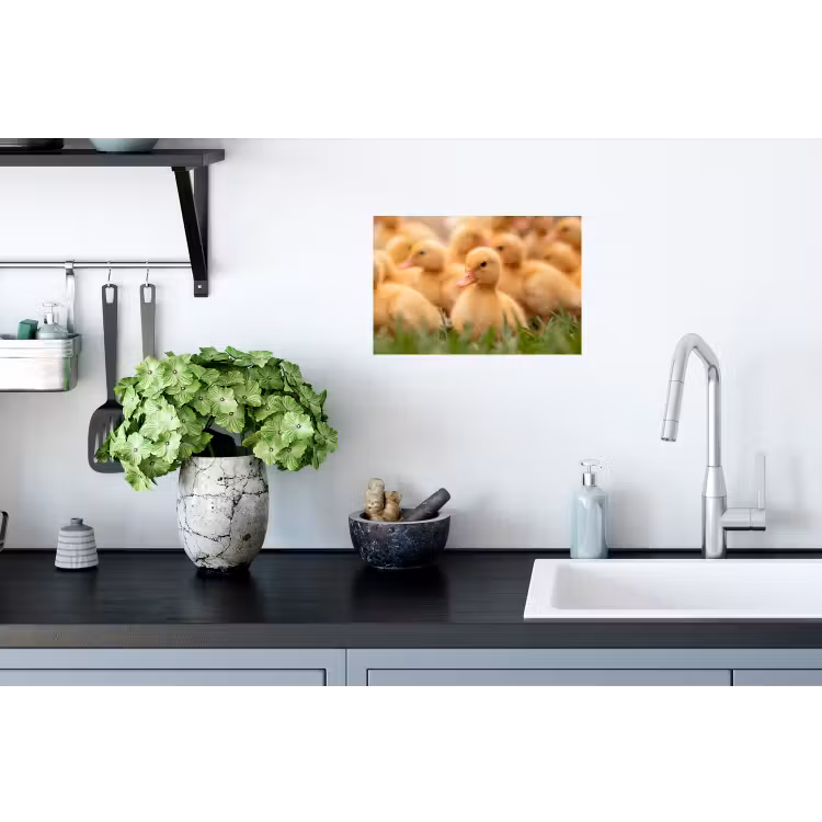 Pijltje - Eend - Natuur - Geel Muursticker klein -keuken