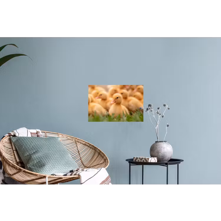 Pijltje - Eend - Natuur - Geel Muursticker klein -plant