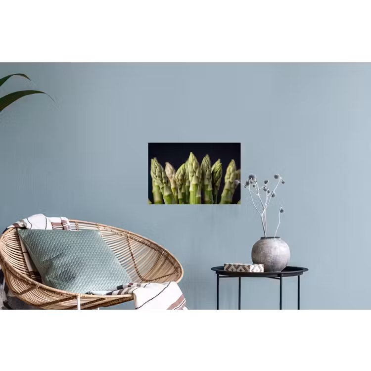 Asperges - Groen - Zwart Muursticker klein -plant